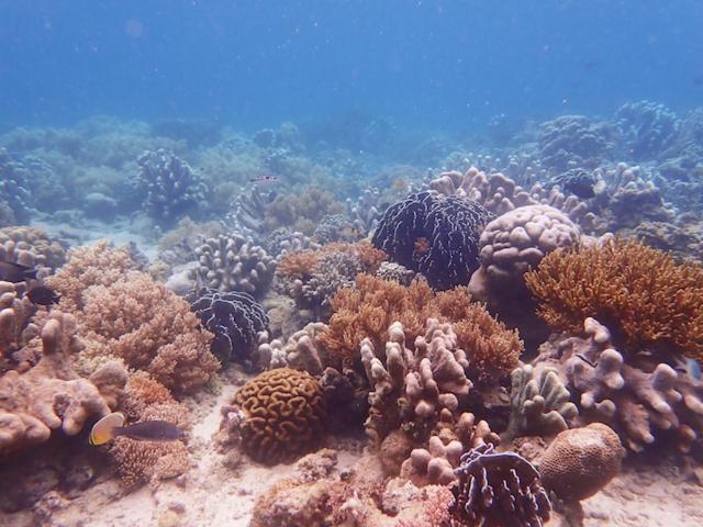 Nomad Divers Bangka Likupang Extérieur photo
